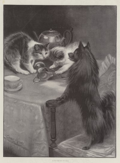 Interrupted by Fannie Moody